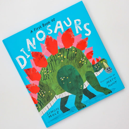 A First Book of Dinosaurs by Simon Mole and Matt Hunt