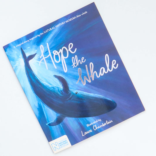 Hope the Whale: a beautiful children’s book about blue whales and conservation